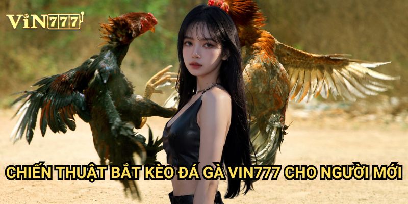 Chiến Thuật Bắt Kèo Đá Gà Vin777 Cực Chuẩn: Hướng Dẫn Từ Chuyên Gia 2 Chiến Thuật Bắt Kèo Đá Gà Vin777 Cho Người Mới