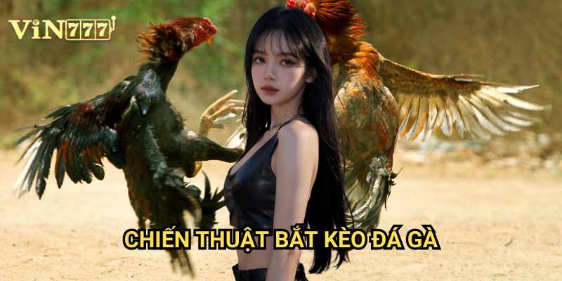 Chiến Thuật Bắt Kèo Đá Gà Vin777 Cực Chuẩn: Hướng Dẫn Từ Chuyên Gia