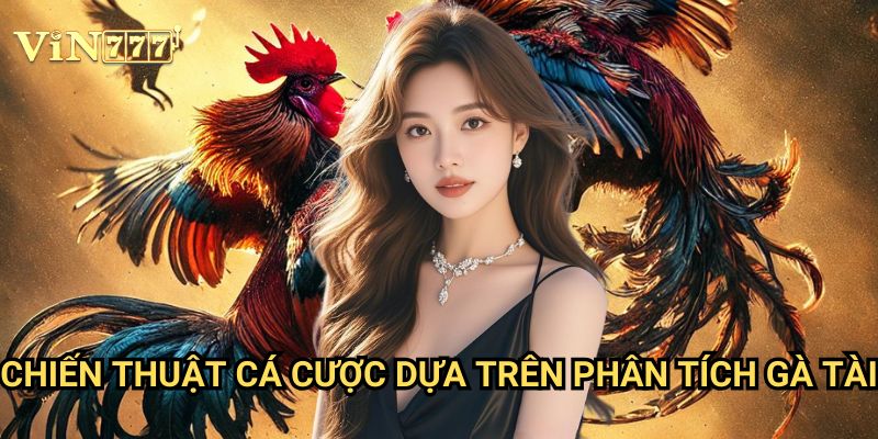 Cách Nhận Biết Gà Tài Vin777: Bí Quyết Giúp Nâng Cao Tỷ Lệ Thắng Khi Cá Cược 3 Chiến Thuật Cá Cược Dựa Trên Phân Tích Gà Tài