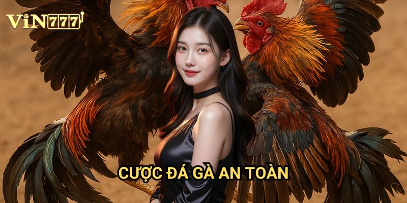 Cược Đá Gà An Toàn Vin777: Bí Quyết Tránh Rủi Ro Mất Tiền Cho Người Chơi