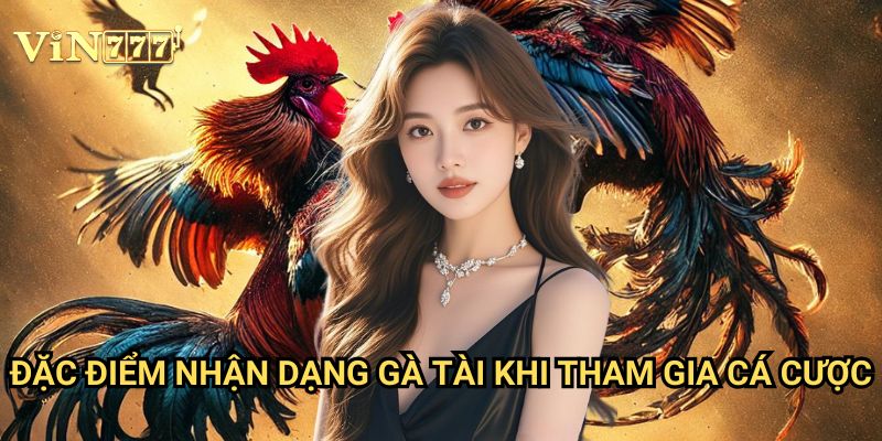 Cách Nhận Biết Gà Tài Vin777: Bí Quyết Giúp Nâng Cao Tỷ Lệ Thắng Khi Cá Cược 2 Đặc Điểm Nhận Dạng Gà Tài Khi Tham Gia Cá Cược