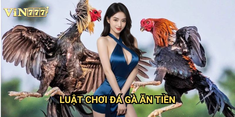 Luật Chơi Đá Gà Ăn Tiền Dễ Hiểu Tại Vin777: Hướng Dẫn Đầy Đủ Cho Người Mới