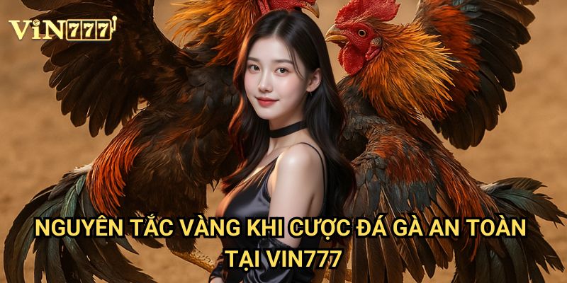 Cược Đá Gà An Toàn Vin777: Bí Quyết Tránh Rủi Ro Mất Tiền Cho Người Chơi 2 Nguyên Tắc Vàng Khi Cược Đá Gà An Toàn Tại Vin777