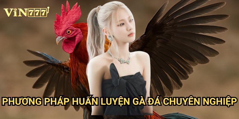 Cách Nuôi Gà Đá Hiệu Quả Vin777: Kinh Nghiệm Từ Các Cược Thủ Chuyên Nghiệp 3 Phương Pháp Huấn Luyện Gà Đá Chuyên Nghiệp