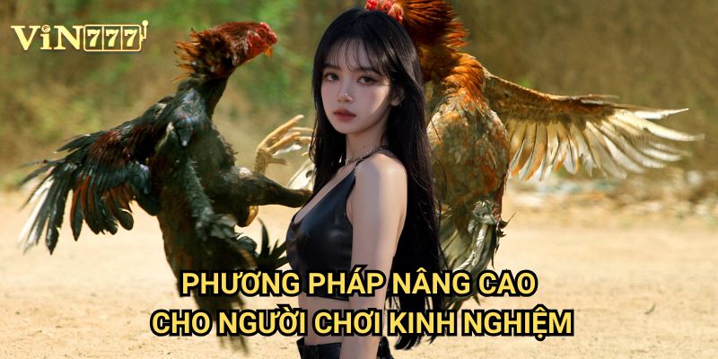 Chiến Thuật Bắt Kèo Đá Gà Vin777 Cực Chuẩn: Hướng Dẫn Từ Chuyên Gia 3 Phương Pháp Nâng Cao Cho Người Chơi Kinh Nghiệm