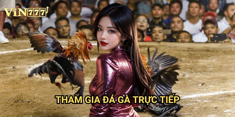 Tham Gia Đá Gà Trực Tiếp Vin777 Chỉ Với Vài Bước: Hướng Dẫn Toàn Diện