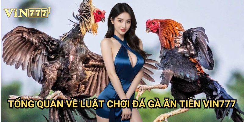 Luật Chơi Đá Gà Ăn Tiền Dễ Hiểu Tại Vin777: Hướng Dẫn Đầy Đủ Cho Người Mới 2 Tổng Quan Về Luật Chơi Đá Gà Ăn Tiền Vin777